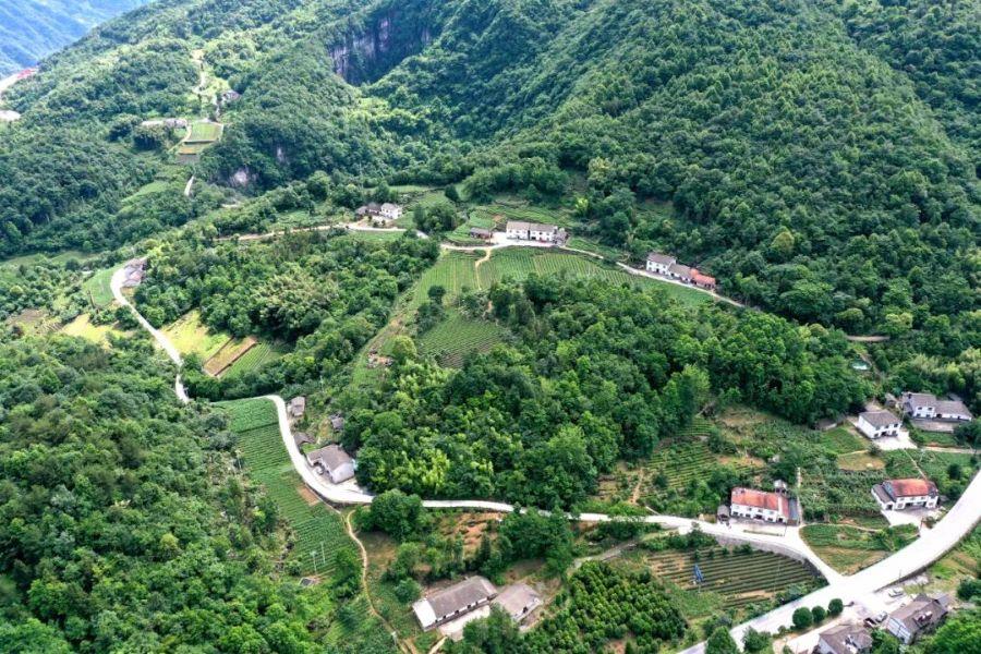 轉山品茶 “茶馬古道”走出新路