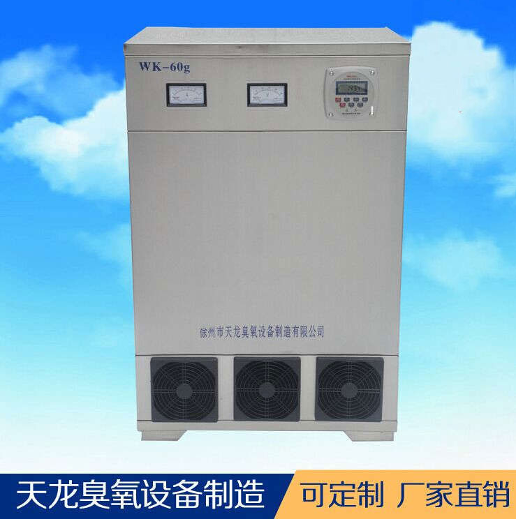 臭氧設(shè)備 外置消毒機(jī)60g 車間養(yǎng)殖場食品廠藥廠消毒 廠家直銷