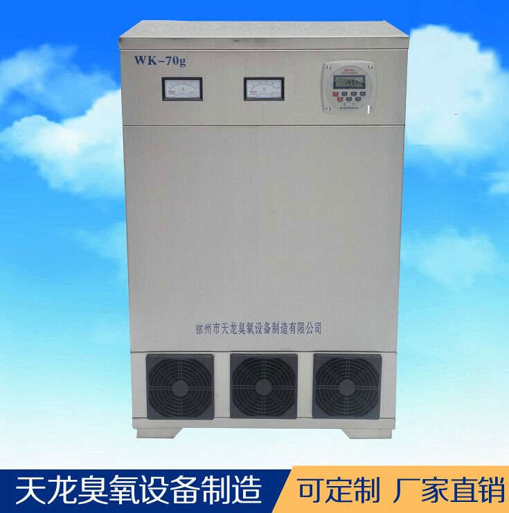 臭氧設(shè)備 外置消毒機(jī)70g 車間養(yǎng)殖場食品廠藥廠消毒 廠家直銷