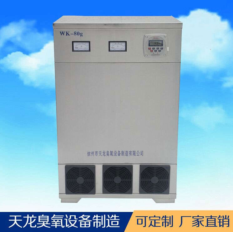 臭氧設(shè)備 外置消毒機(jī)80g 車間養(yǎng)殖場食品廠藥廠消毒 廠家直銷