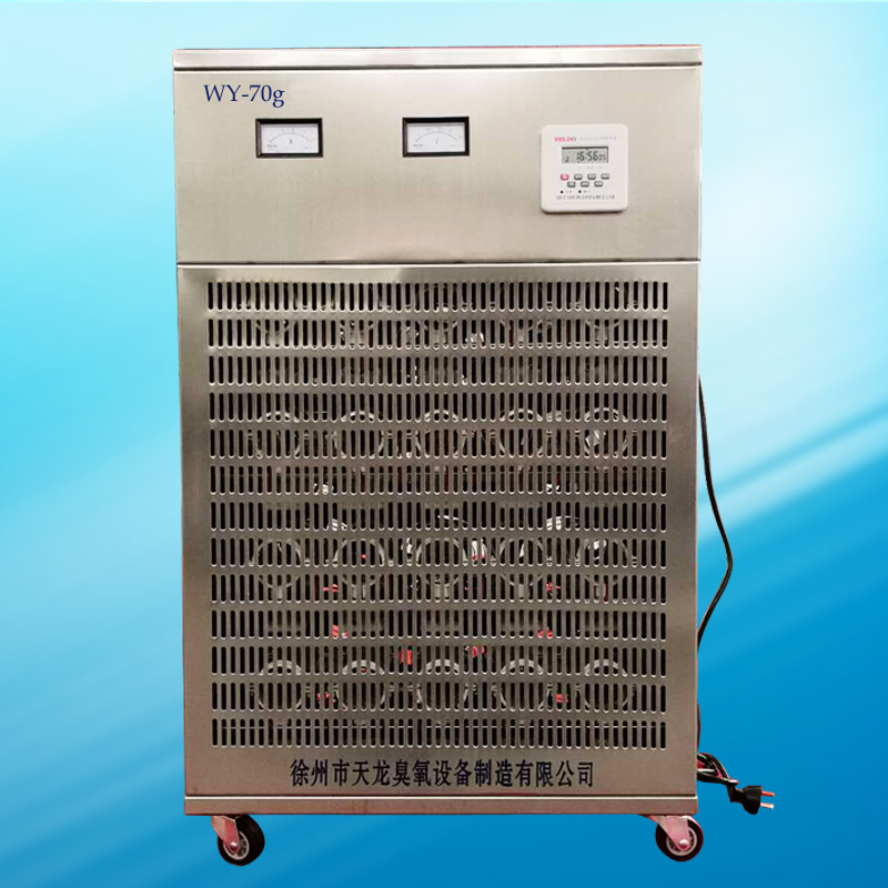 臭氧發(fā)生器 臭氧設(shè)備 WY-70g 食品廠 藥廠 醫(yī)院